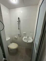 Dahlia Park Condominium (D17), Condominium #553183601